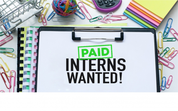 Summer Library Internships